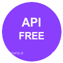 API集成专家