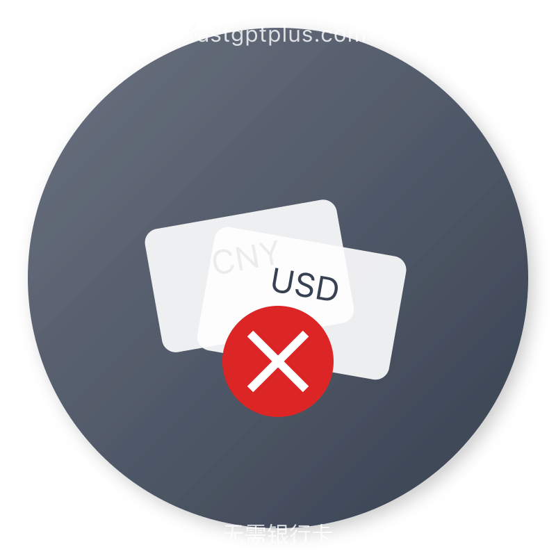 国际支付架构师