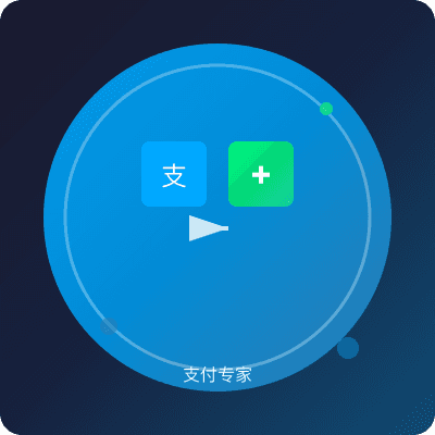 支付专家