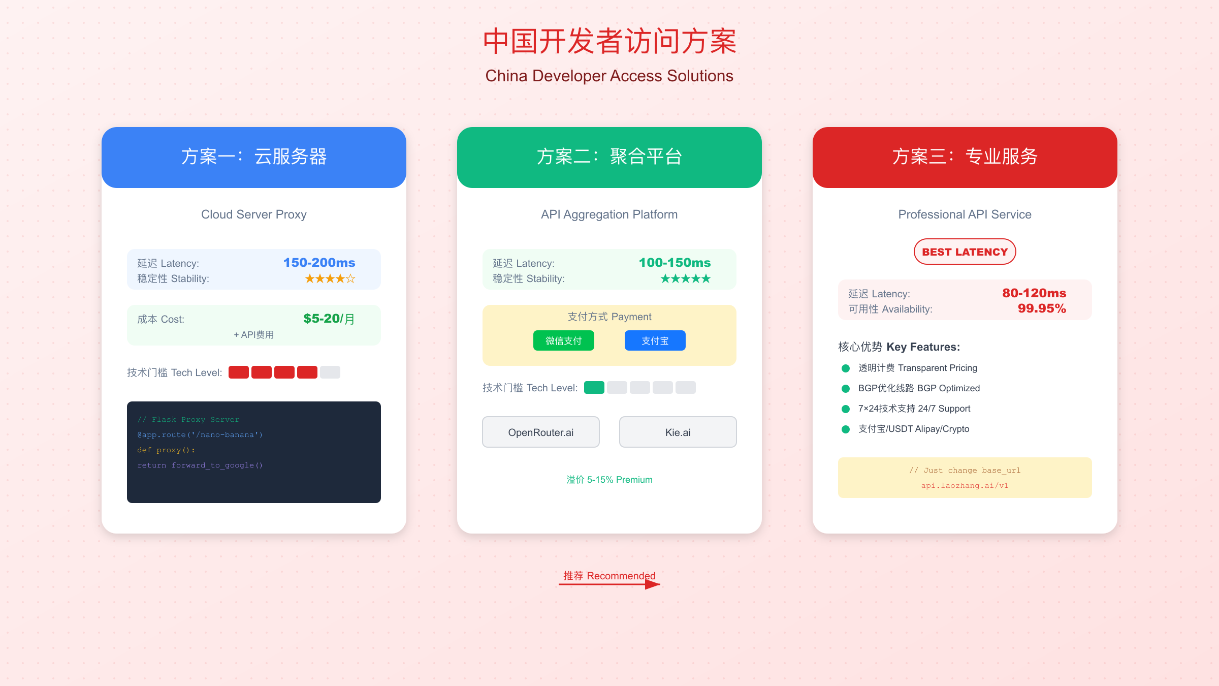 中国开发者访问方案